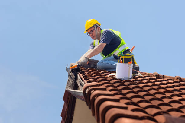 Best Roof Ventilation Installation  in Hamburg, IA